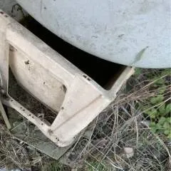 Daniel Machin photo on Jungo Live