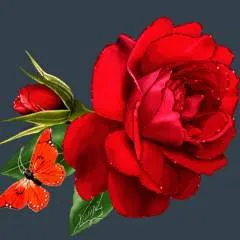 Pilosoooooo photo on Jungo Live