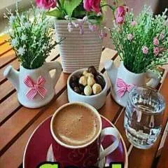 Uzine photo on Jungo Live