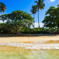 Sanjib photo on Jungo Live