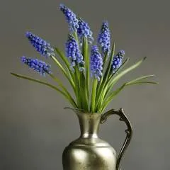 Sanjib photo on Jungo Live