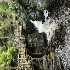 Alex photo on Jungo Live