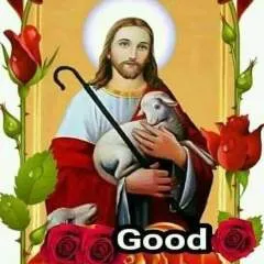 Rishi photo on Jungo Live