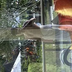 Coppertop photo on Jungo Live