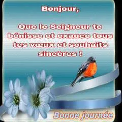 Baude photo on Jungo Live