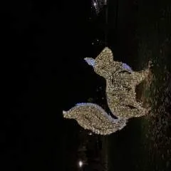 Ron photo on Jungo Live