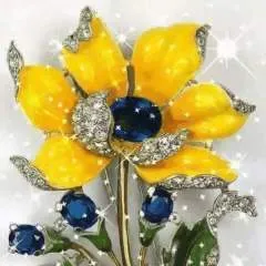 Abhay photo on Jungo Live