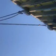 Ogibear photo on Jungo Live