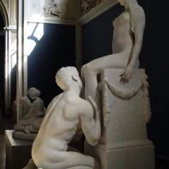 Spud photo on Jungo Live