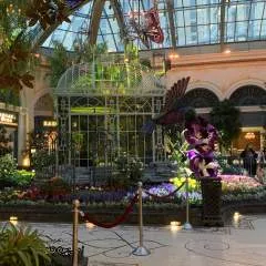 Alex Alderman photo on Jungo Live