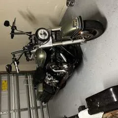 Dannyboy.... photo on Jungo Live