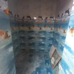 Sure photo on Jungo Live