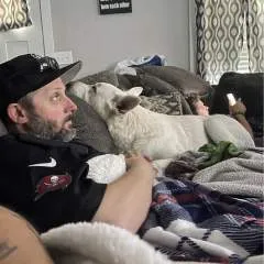 Bear.... photo on Jungo Live