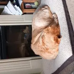 Mr7plusuk photo on Jungo Live