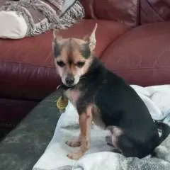 Pussylicker photo on Jungo Live