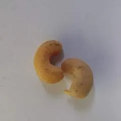 Pussylicker photo on Jungo Live