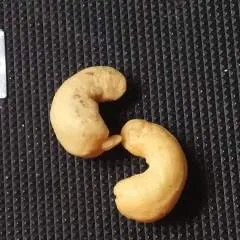 Pussylicker photo on Jungo Live