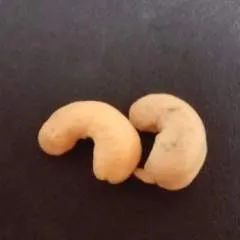 Pussylicker photo on Jungo Live