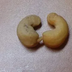 Pussylicker photo on Jungo Live