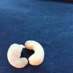 Pussylicker photo on Jungo Live