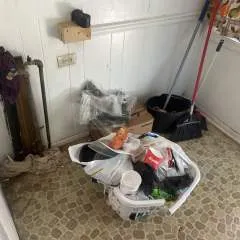 Zeeman photo on Jungo Live