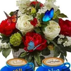 Vujovic photo on Jungo Live