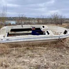 Dobbin Andrew photo on Jungo Live