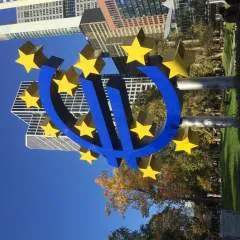 Sikici photo on Jungo Live