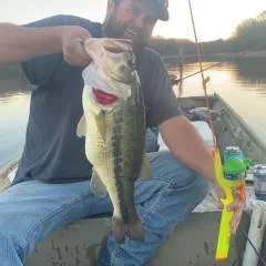 Curiouscouple photo on Jungo Live