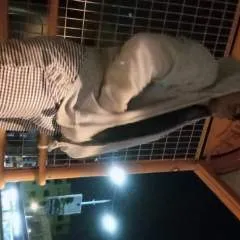 Bae 😍 photo on Jungo Live