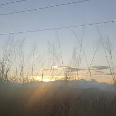 Sol photo on Jungo Live