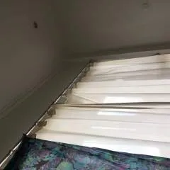 Leon42 photo on Jungo Live