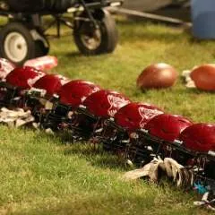 Damion photo on Jungo Live