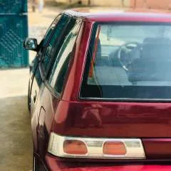 Xama photo on Jungo Live