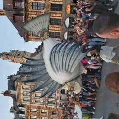 Hervegays photo on Jungo Live