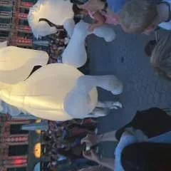 Hervegays photo on Jungo Live