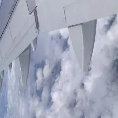 Ali photo on Jungo Live