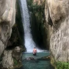 Max Stone photo on Jungo Live