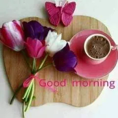 Arupdolai photo on Jungo Live