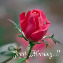 Arupdolai photo on Jungo Live