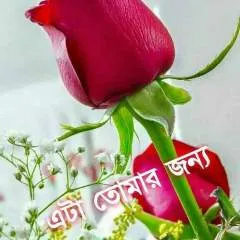 Arupdolai photo on Jungo Live