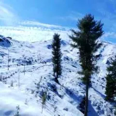 Shrey photo on Jungo Live