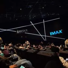 Fun photo on Jungo Live