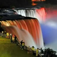 Leonardo photo on Jungo Live