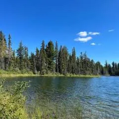 Thomas photo on Jungo Live