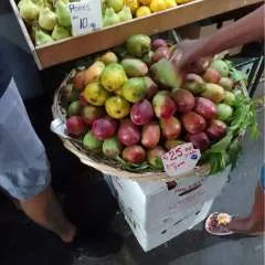 Ahjeed photo on Jungo Live