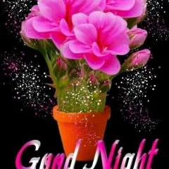 Pk photo on Jungo Live