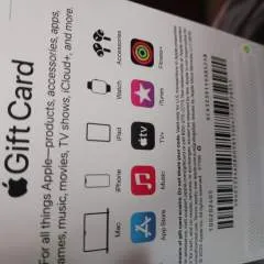 Stiffmeat photo on Jungo Live