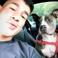 Mike photo on Jungo Live