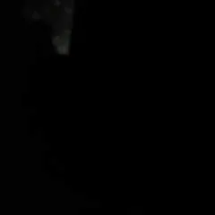 Pq photo on Jungo Live